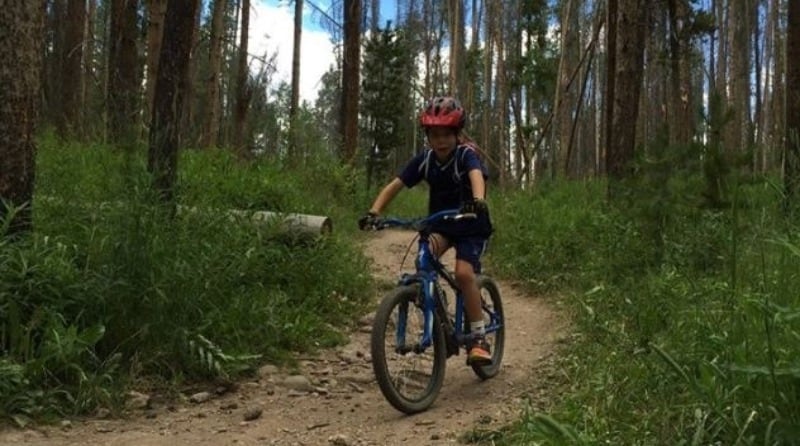 Idlewild mountain bike trails online
